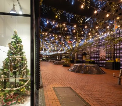 Celebrate Christmas in Tāmaki Makaurau Auckland