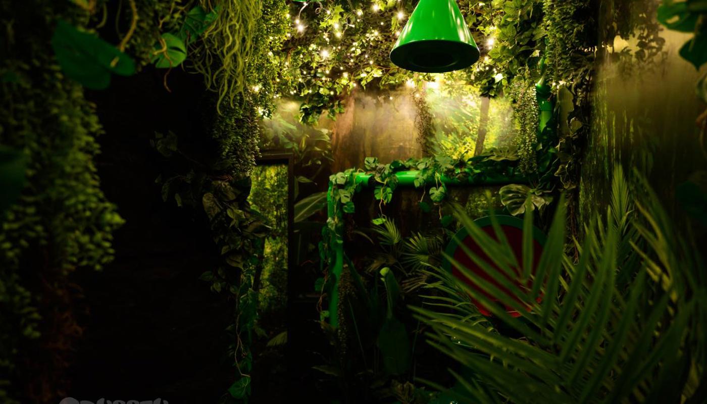 What will you hear in the sound jungle?