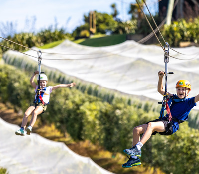 Holiday Faves for Kids