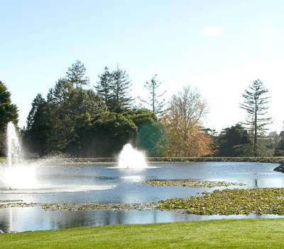 Pukekohe Golf Club
