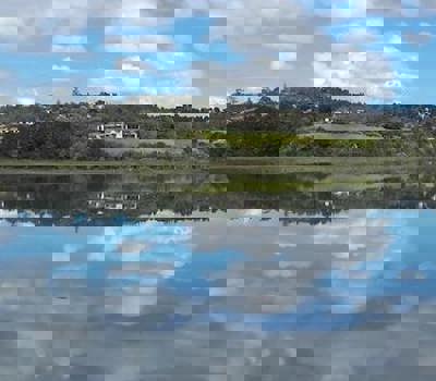 Mangemangeroa Shelly Park