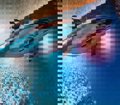 Goat Island Marine Discovery Centre