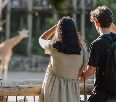 Te Pō Hono Zoo Lates