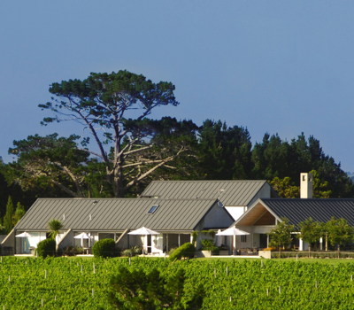 Takatu  Lodge &  Vineyard Matakana Coast