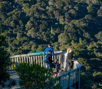 Arataki Visitor Centre