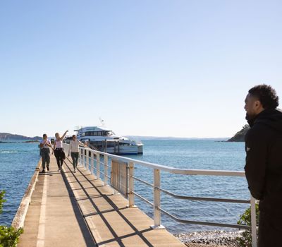 Tour Tāmaki Makaurau with the Treasures of Tāmaki