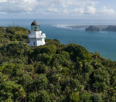 Step Into Your   Ultimate South Auckland Guide 