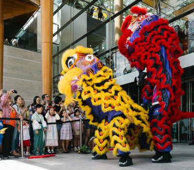 Lunar New Year Festival 2026  农历新年庆祝活动